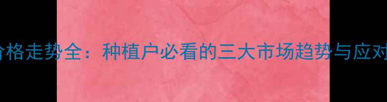 图片 包谷价格走势全：种植户必看的三大市场趋势与应对策略1