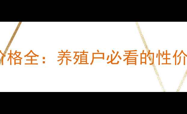 图片 华兴饲料犬粮价格全：养殖户必看的性价比与市场趋势2