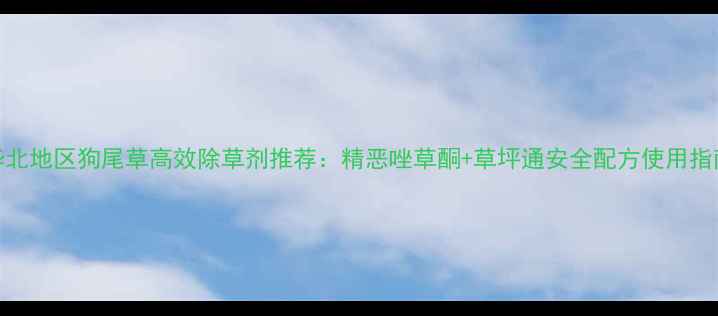 图片 华北地区狗尾草高效除草剂推荐：精恶唑草酮+草坪通安全配方使用指南