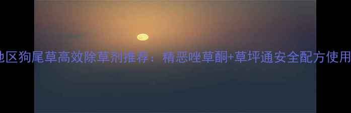 图片 华北地区狗尾草高效除草剂推荐：精恶唑草酮+草坪通安全配方使用指南1