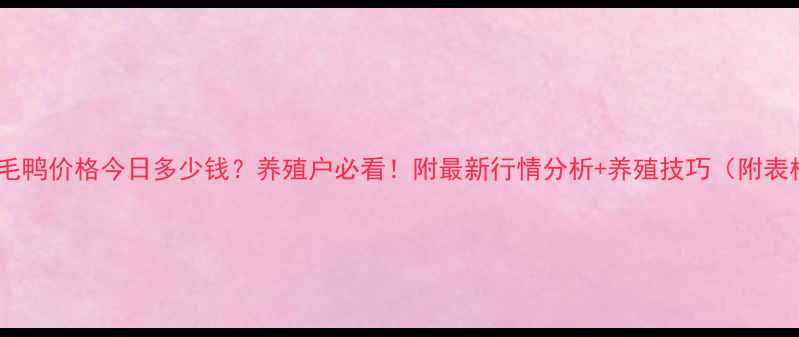 图片 南宁毛鸭价格今日多少钱？养殖户必看！附最新行情分析+养殖技巧（附表格）1