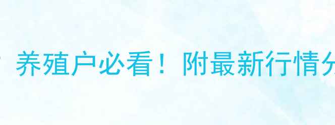 图片 南宁毛鸭价格今日多少钱？养殖户必看！附最新行情分析+养殖技巧（附表格）2
