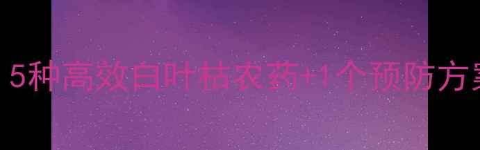 图片 南方水稻田必看！5种高效白叶枯农药+1个预防方案，助你稳产增收