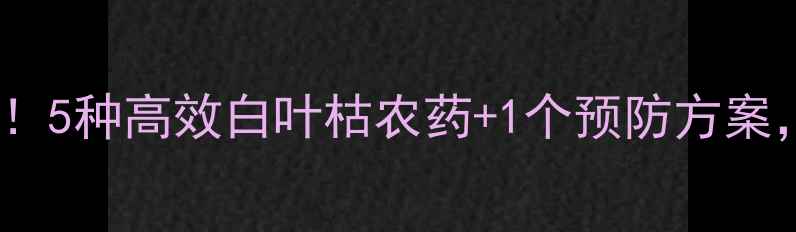 图片 南方水稻田必看！5种高效白叶枯农药+1个预防方案，助你稳产增收1