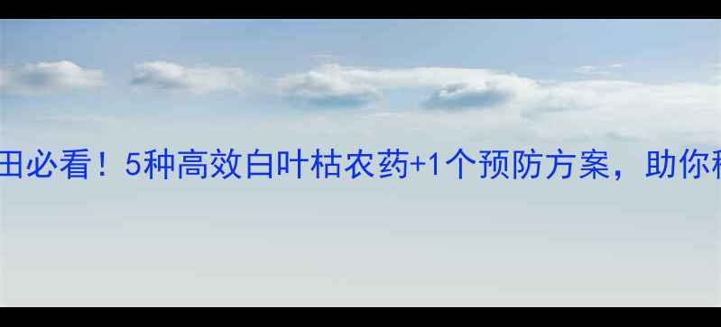 图片 南方水稻田必看！5种高效白叶枯农药+1个预防方案，助你稳产增收2