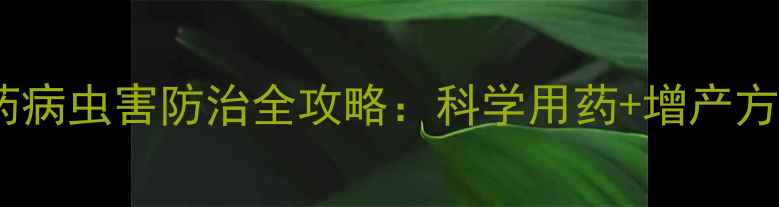 图片 博兴先达农药病虫害防治全攻略：科学用药+增产方案助农增收2