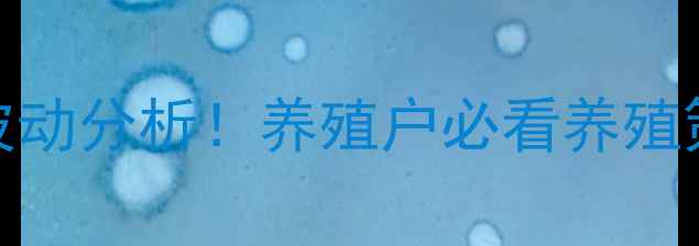 图片 原阳生猪价格今日最新行情波动分析！养殖户必看养殖策略调整指南（附数据图表）