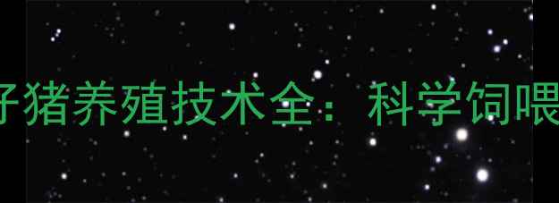 图片 双胞胎饲料配方+仔猪养殖技术全：科学饲喂方案助您降本增效