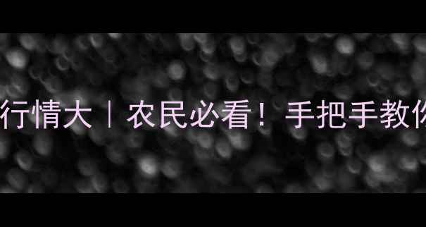 图片 吉林干玉米价格行情大｜农民必看！手把手教你应对市场波动2