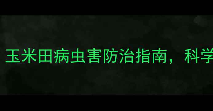 图片 吉林盛丰农药：玉米田病虫害防治指南，科学用药助农增收2