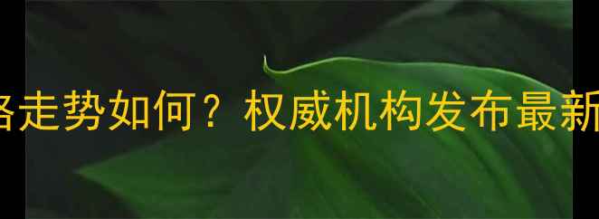 图片 吉林省新玉米价格走势如何？权威机构发布最新预测及市场分析1