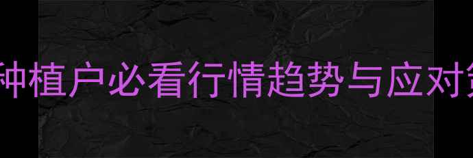 图片 吉林省玉米价格全｜种植户必看行情趋势与应对策略（附数据图表）1