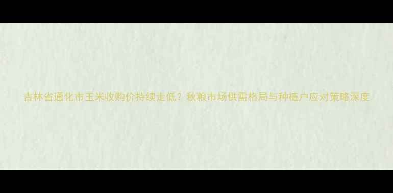 图片 吉林省通化市玉米收购价持续走低？秋粮市场供需格局与种植户应对策略深度