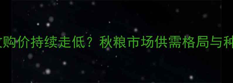 图片 吉林省通化市玉米收购价持续走低？秋粮市场供需格局与种植户应对策略深度1