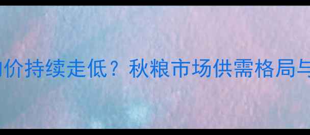 图片 吉林省通化市玉米收购价持续走低？秋粮市场供需格局与种植户应对策略深度2
