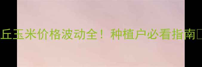 图片 商丘玉米价格波动全！种植户必看指南🌾1