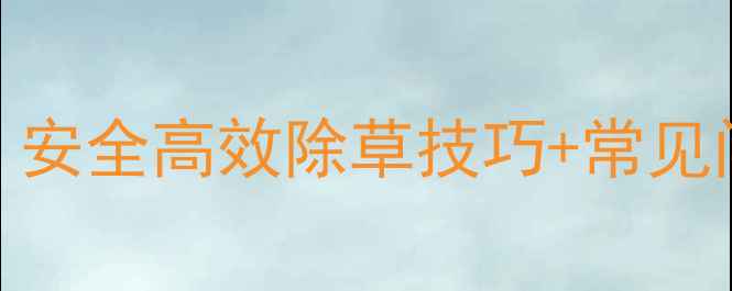 图片 喹草酮除草剂使用全攻略｜安全高效除草技巧+常见问题解答（附种植对比图）