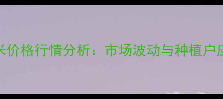 图片 四平玉米价格行情分析：市场波动与种植户应对策略