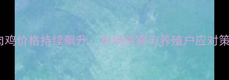 图片 国内肉鸡价格持续飙升：市场供需与养殖户应对策略全2