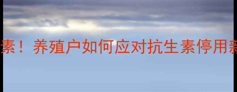 图片 国家全面禁用饲料金霉素！养殖户如何应对抗生素停用新规？附替代方案指南2
