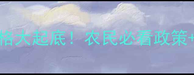 图片 国库收购玉米价格大起底！农民必看政策+市场趋势全🌾💼
