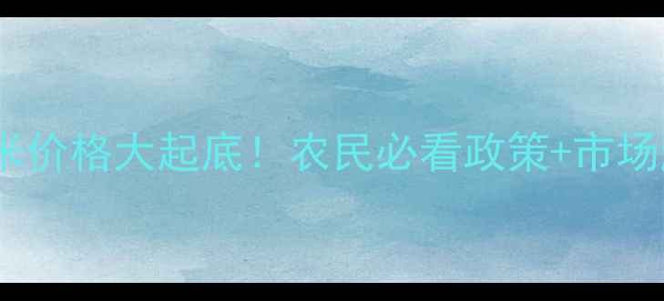 图片 国库收购玉米价格大起底！农民必看政策+市场趋势全🌾💼2