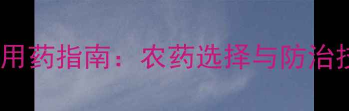 图片 土豆常见病害及科学用药指南：农药选择与防治技巧全（附配比表）2