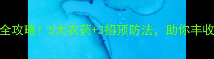 图片 土豆霜霉病防治全攻略！5大农药+3招预防法，助你丰收增收｜种植指南