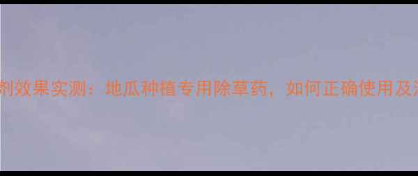 图片 地瓜乐除草剂效果实测：地瓜种植专用除草药，如何正确使用及注意事项全1