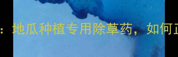 图片 地瓜乐除草剂效果实测：地瓜种植专用除草药，如何正确使用及注意事项全2