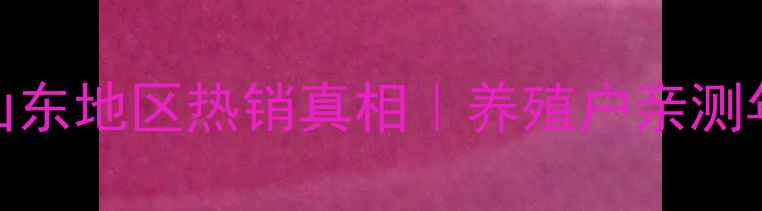 图片 大北农牛饲料山东地区热销真相｜养殖户亲测年省成本3万+？