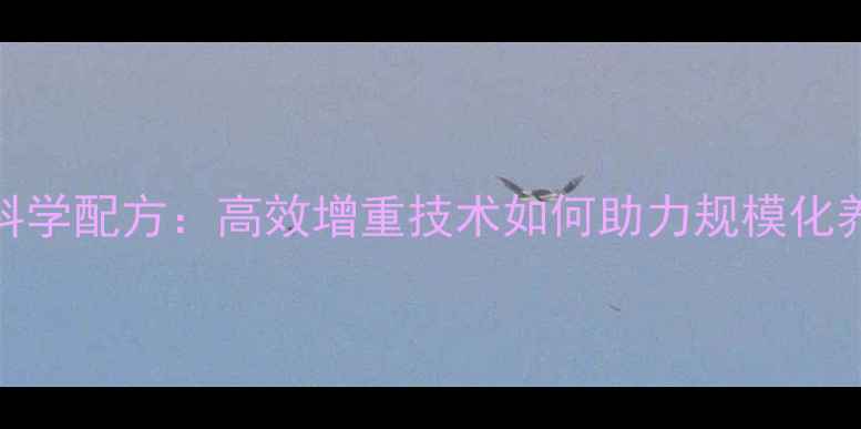图片 大北农肉牛饲料科学配方：高效增重技术如何助力规模化养殖户降本增效？