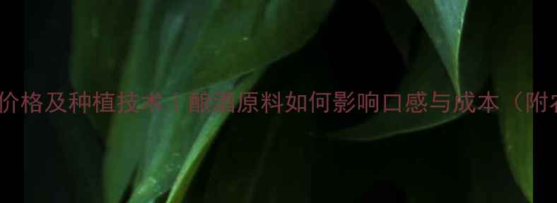 图片 大帝汉克酒最新价格及种植技术｜酿酒原料如何影响口感与成本（附农业经济分析）1