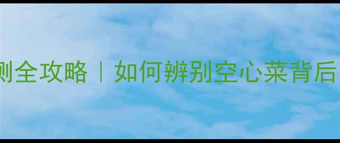 图片 大白菜农残检测全攻略｜如何辨别空心菜背后的安全隐患？1