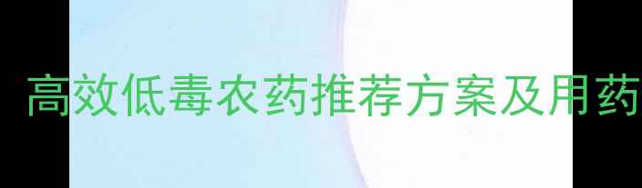 图片 大白菜病虫害科学防治指南：高效低毒农药推荐方案及用药技巧（附详细用药时间表）1