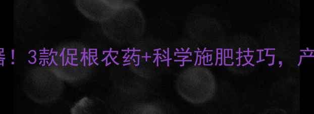 图片 大蒜根系扎根神器！3款促根农药+科学施肥技巧，产量翻倍种植指南2