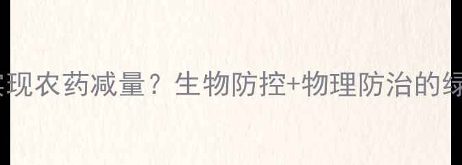 图片 大蒜种植如何实现农药减量？生物防控+物理防治的绿色替代方案全1