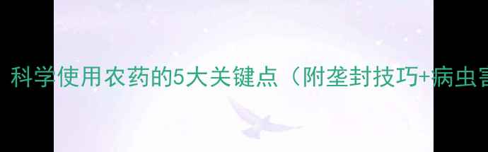 图片 大蒜种植必看！科学使用农药的5大关键点（附垄封技巧+病虫害防治全攻略）