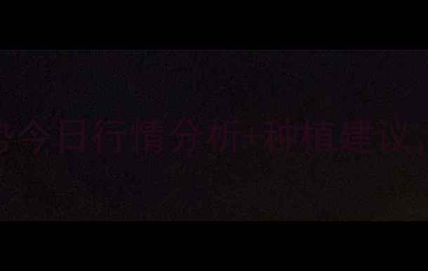图片 大豆价格走势今日行情分析+种植建议，农民必看！