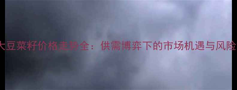 图片 大豆菜籽价格走势全：供需博弈下的市场机遇与风险2