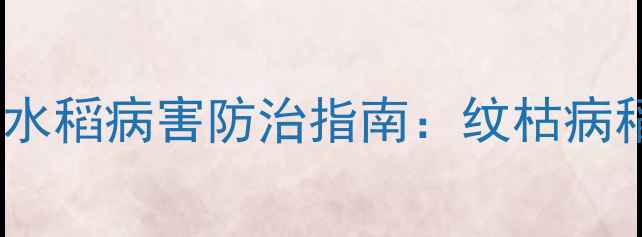 图片 天津汉邦烯酰吗啉水稻病害防治指南：纹枯病稻瘟病防控技术全1