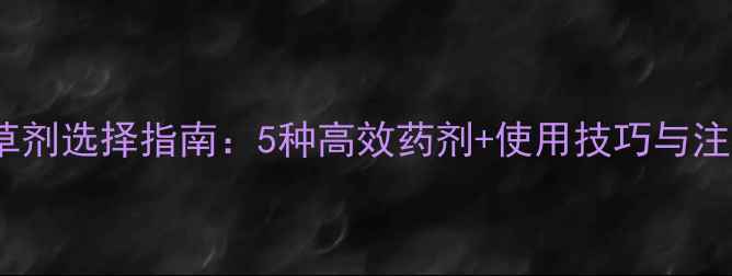 图片 姜地除草剂选择指南：5种高效药剂+使用技巧与注意事项2