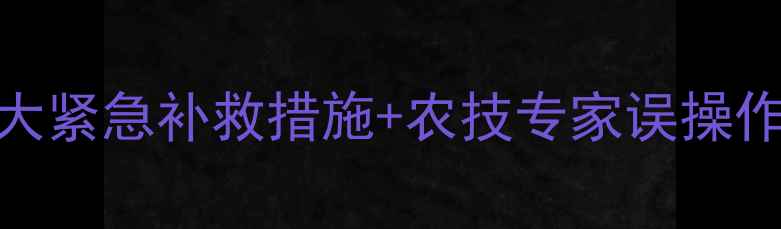 图片 姜苗误用除草剂3大紧急补救措施+农技专家误操作后果与预防方案1