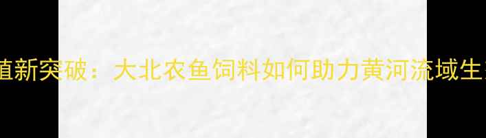 图片 宁夏水产养殖新突破：大北农鱼饲料如何助力黄河流域生态养殖升级1