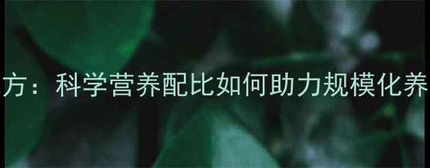 图片 安佑312饲料配方：科学营养配比如何助力规模化养殖降本增效？1