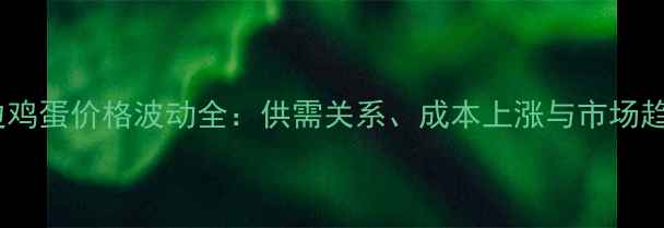 图片 定边鸡蛋价格波动全：供需关系、成本上涨与市场趋势1