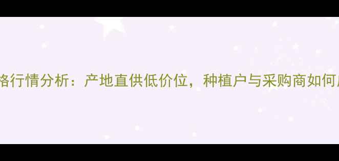 图片 宜昌玉米批发价格行情分析：产地直供低价位，种植户与采购商如何应对市场波动？1