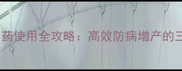 图片 富美实哈利农药使用全攻略：高效防病增产的三大核心技巧2