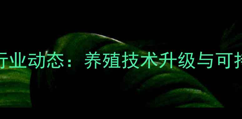 图片 富达饲料公司行业动态：养殖技术升级与可持续发展战略全