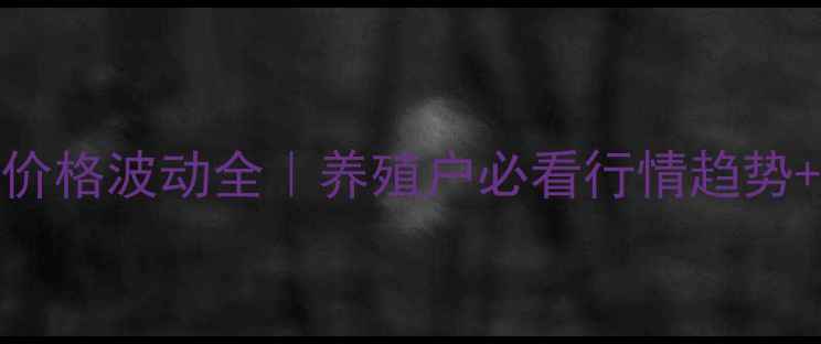 图片 寿光生猪价格波动全｜养殖户必看行情趋势+布局指南
